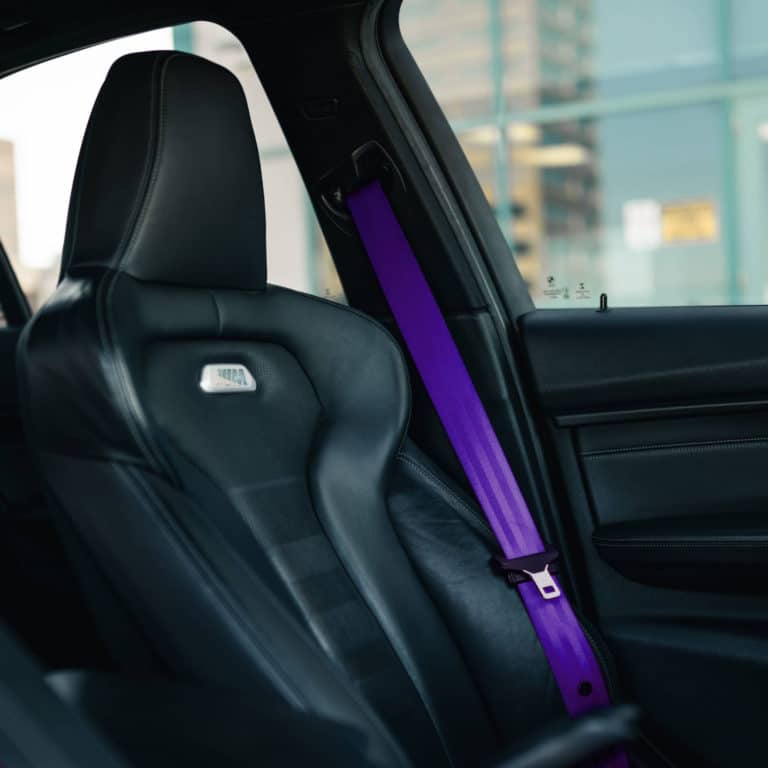 Purple Seat Belt